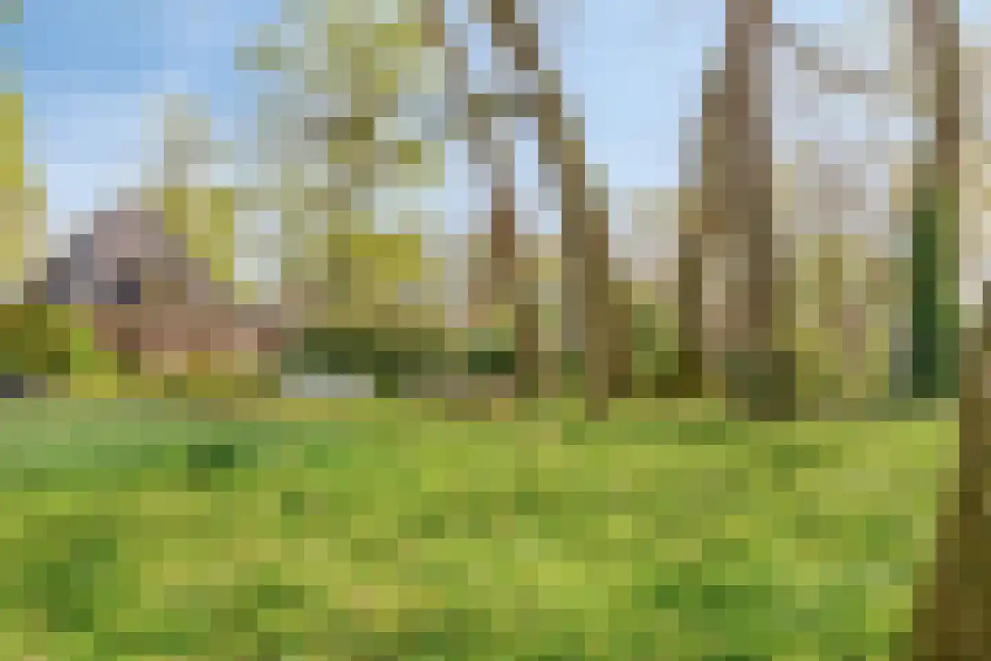 van Wassenaersheuvel 84 Oosterbeek thumbnail 23