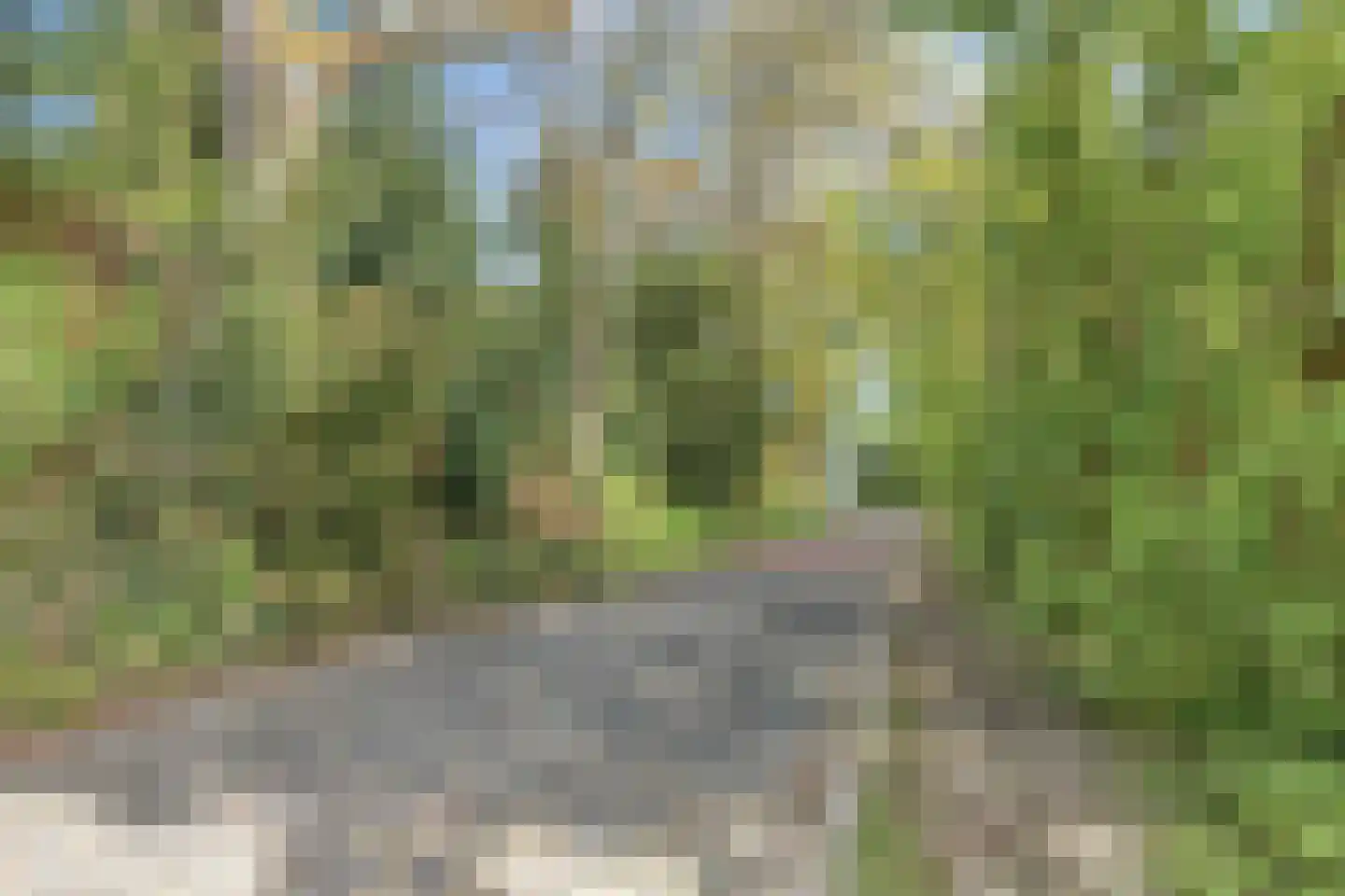van Wassenaersheuvel 84 Oosterbeek thumbnail 24