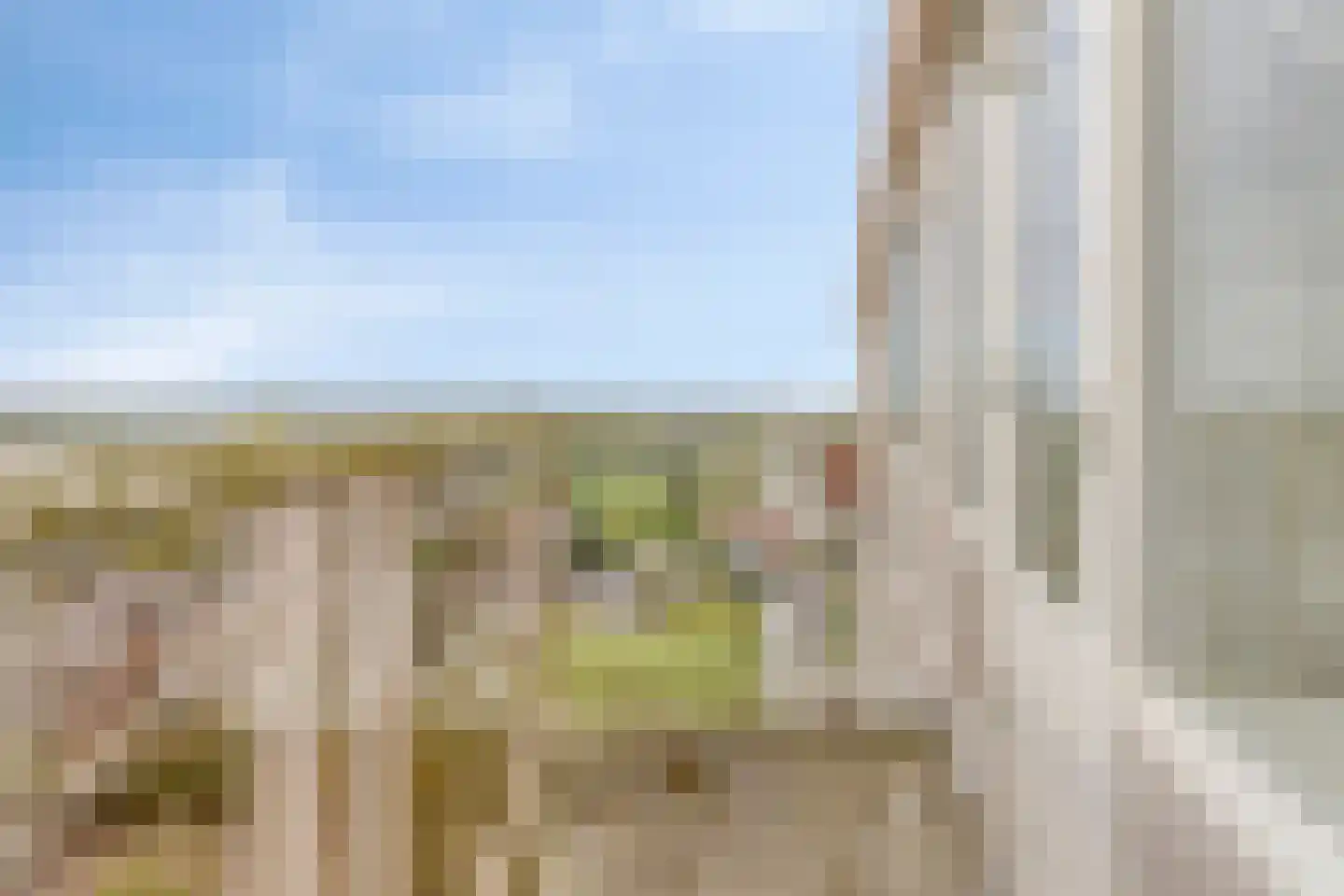 van Wassenaersheuvel 84 Oosterbeek thumbnail 6