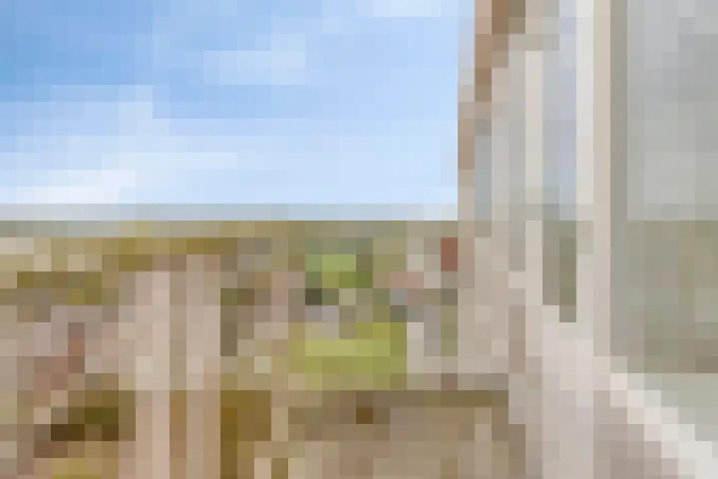 van Wassenaersheuvel 84 Oosterbeek thumbnail 7
