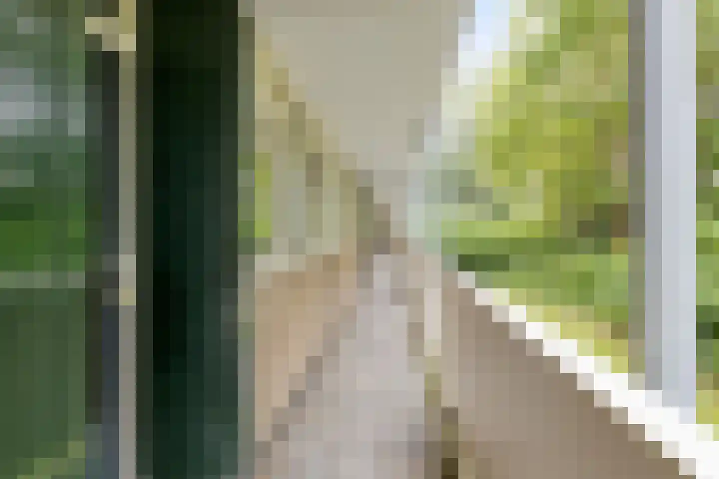 van Wassenaersheuvel 91 Oosterbeek thumbnail 20