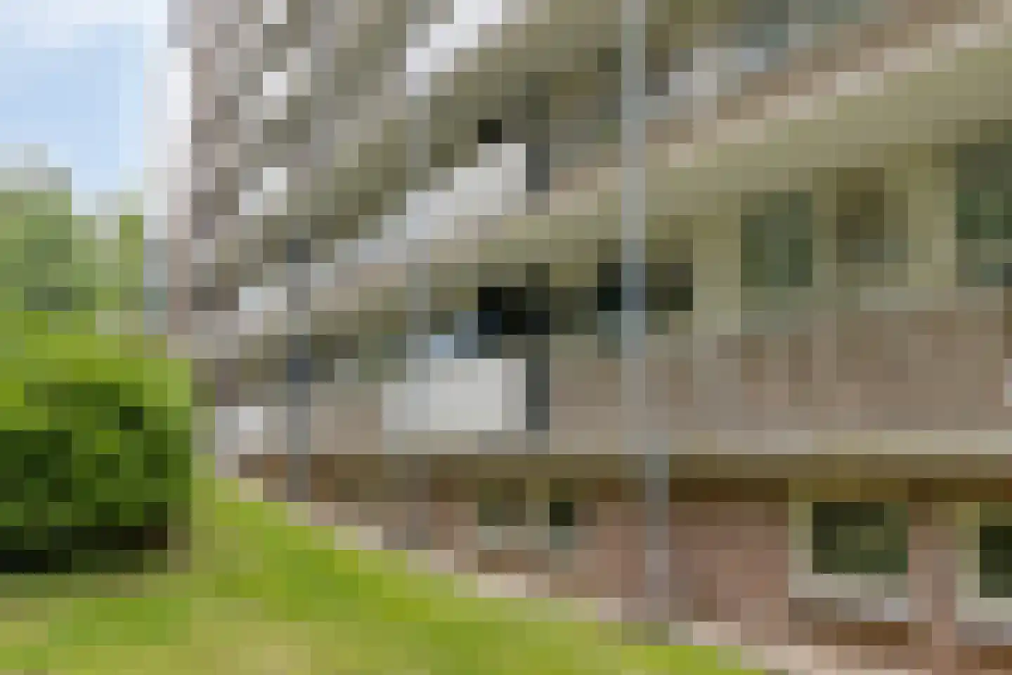 van Wassenaersheuvel 91 Oosterbeek thumbnail 26