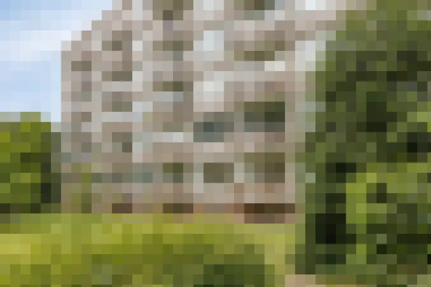 van Wassenaersheuvel 91 Oosterbeek thumbnail 27