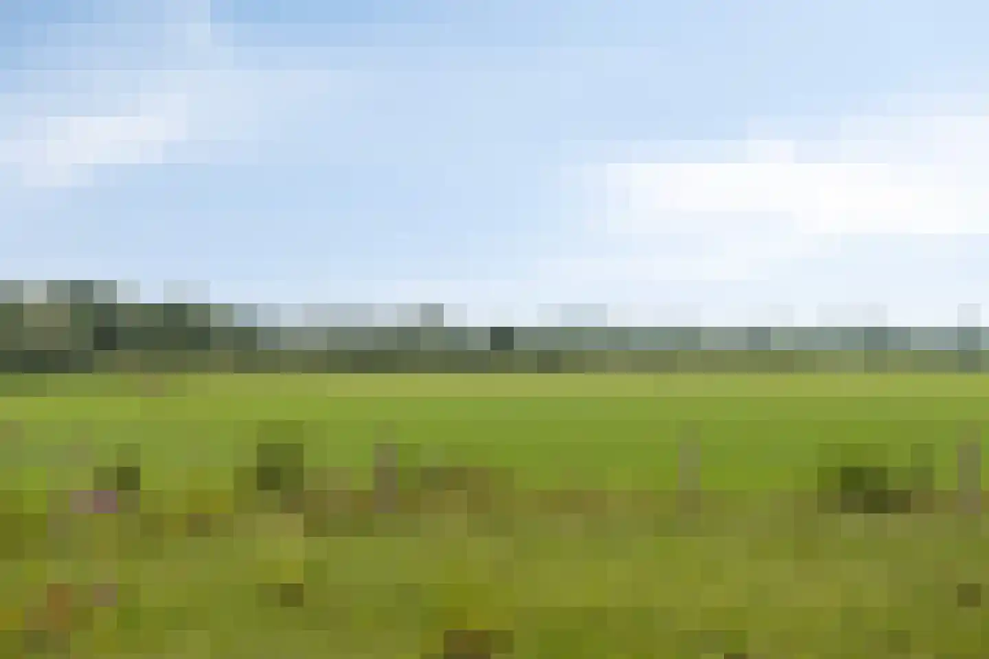 van Wassenaersheuvel 91 Oosterbeek thumbnail 29