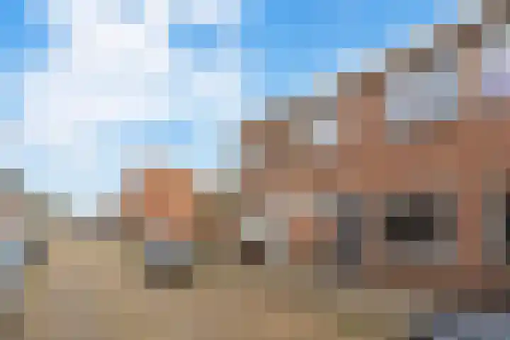 Van Wassenaerstraat 12 IJmuiden thumbnail 7