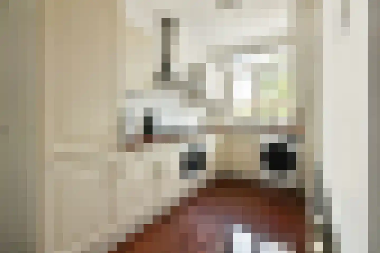van Wassenaerstraat 16 Voorburg thumbnail 12