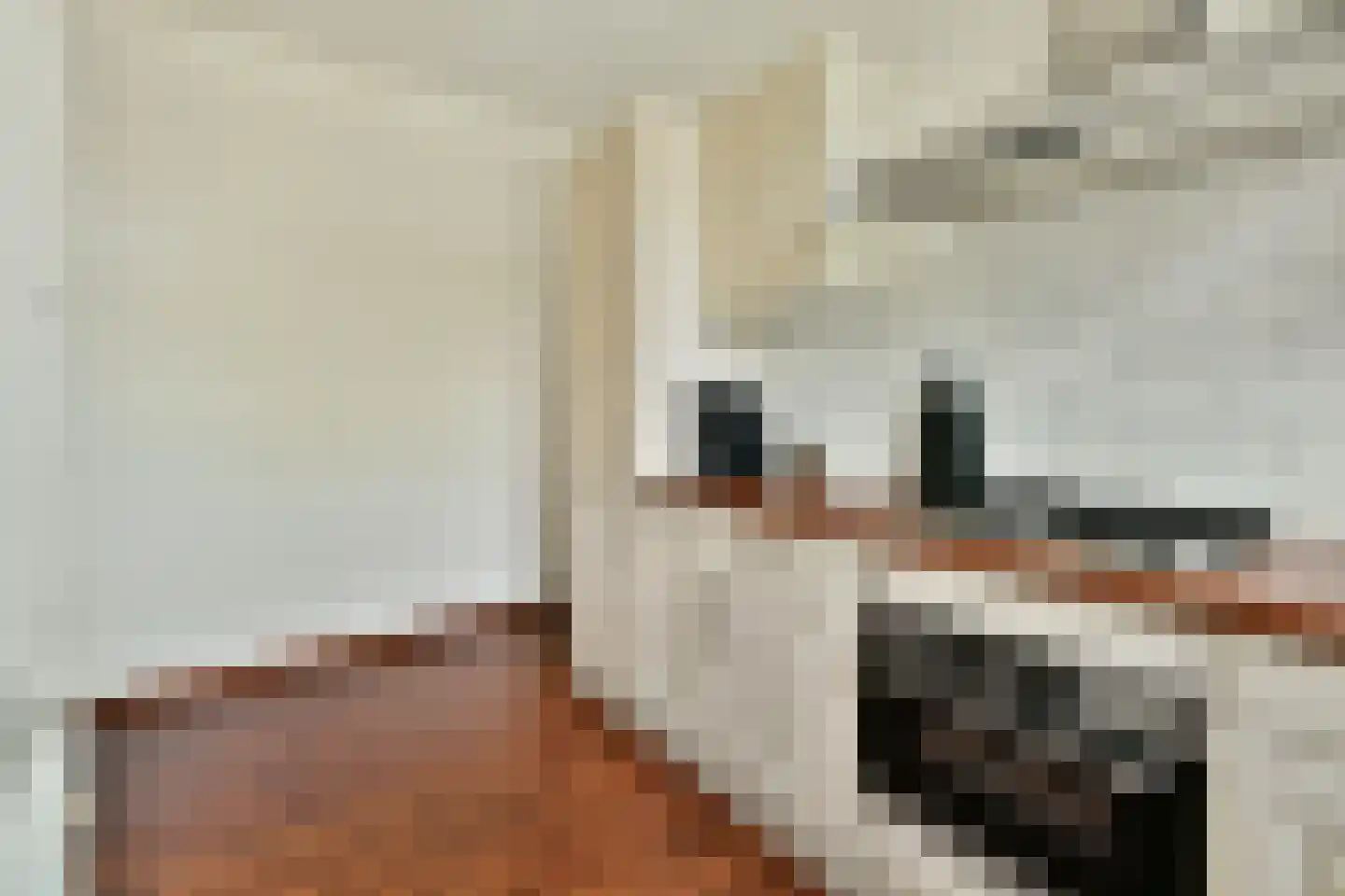 van Wassenaerstraat 16 Voorburg thumbnail 13