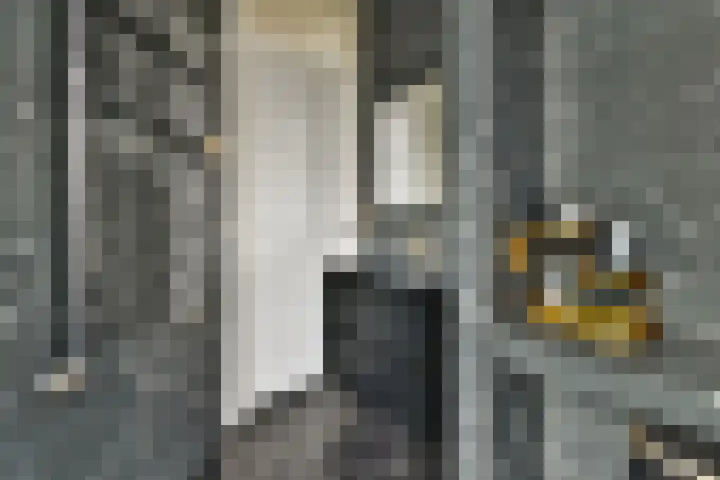 van Wassenaerstraat 16 Voorburg thumbnail 22