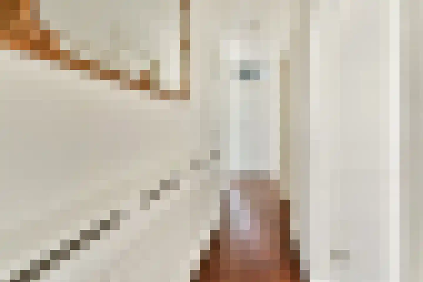 van Wassenaerstraat 16 Voorburg thumbnail 6