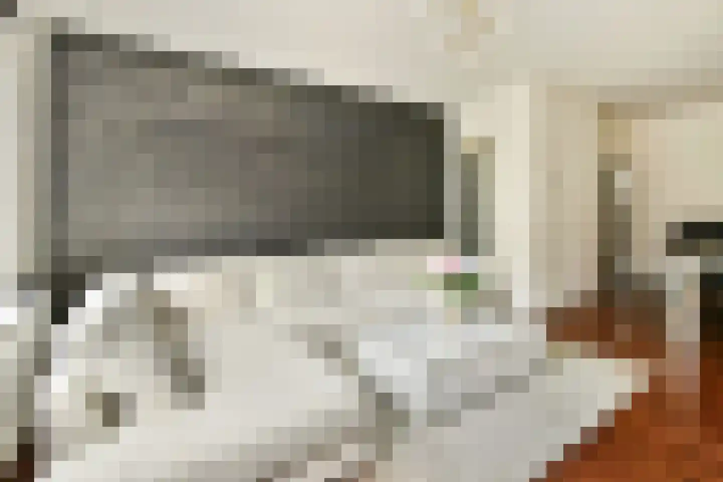 van Wassenaerstraat 16 Voorburg thumbnail 9