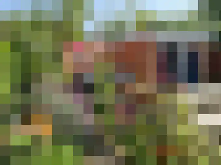 van Wassenaerstraat 18 Oud-Beijerland thumbnail 18