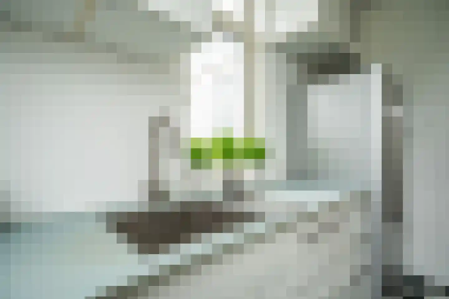 van Wassenaerstraat 18 Voorburg thumbnail 12