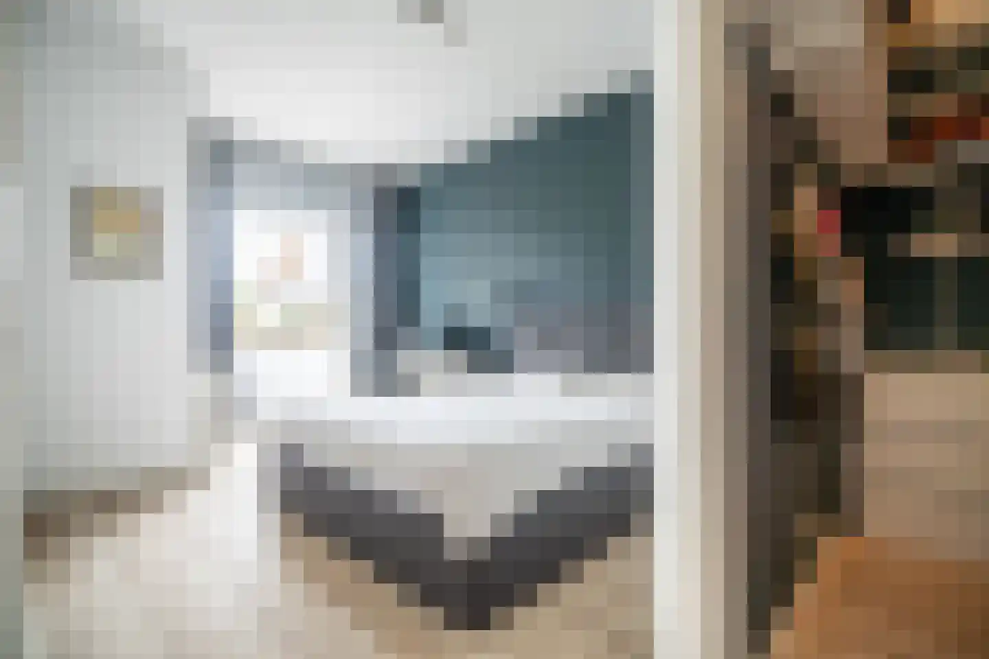 van Wassenaerstraat 18 Voorburg thumbnail 21