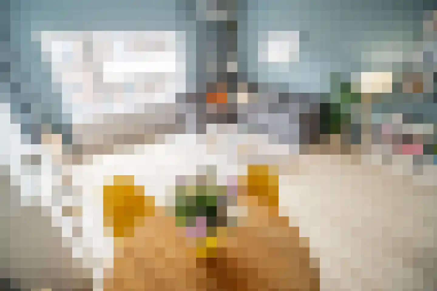 van Wassenaerstraat 18 Voorburg thumbnail 4