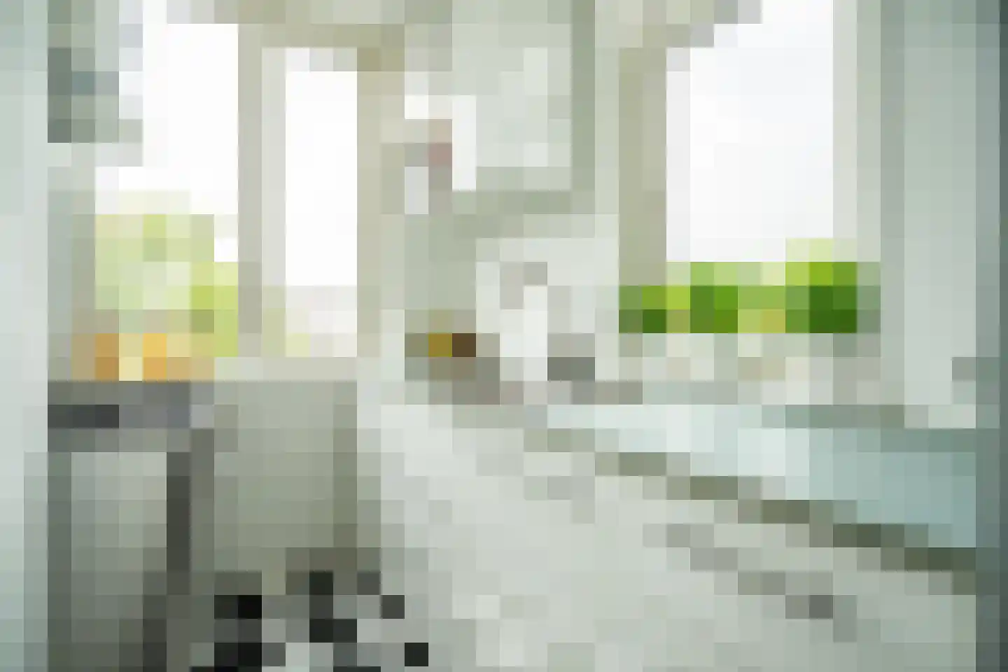 van Wassenaerstraat 18 Voorburg thumbnail 5