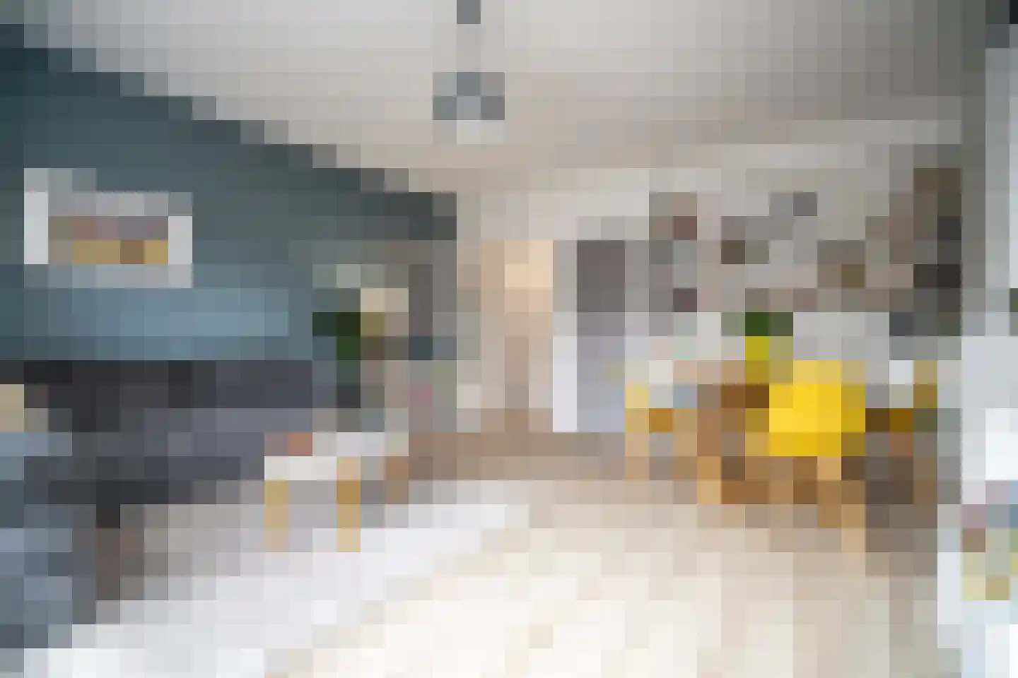 van Wassenaerstraat 18 Voorburg thumbnail 7