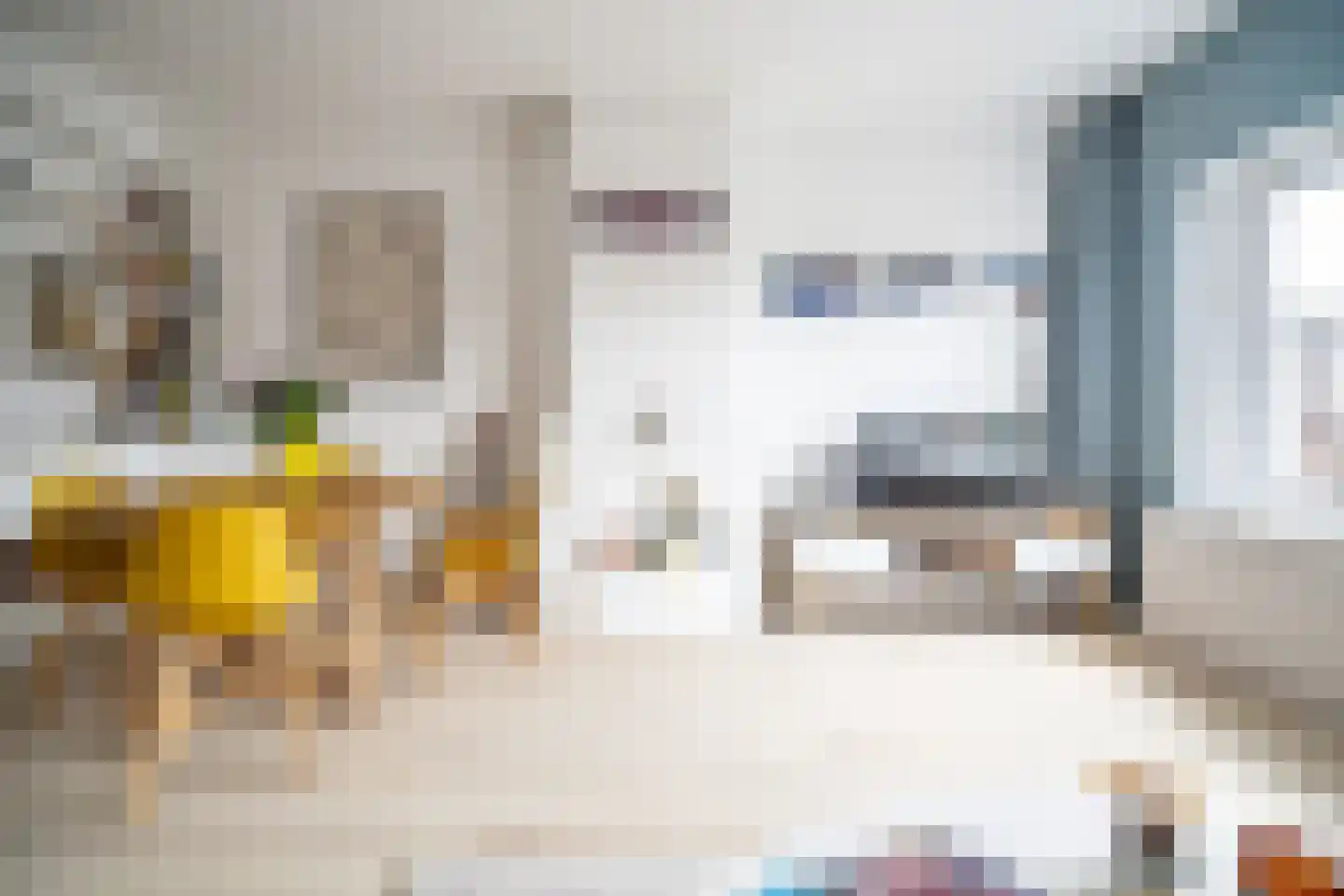 van Wassenaerstraat 18 Voorburg thumbnail 9