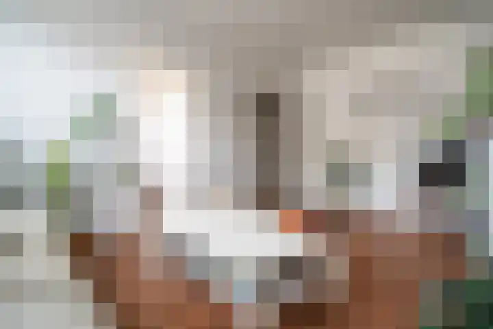 van Wassenaerstraat 21 Voorburg thumbnail 12