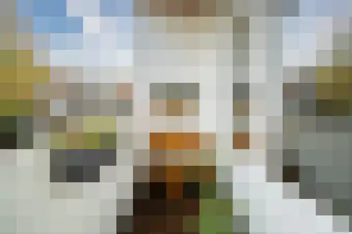 van Wassenaerstraat 21 Voorburg thumbnail 18