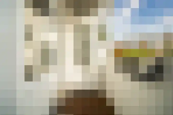 van Wassenaerstraat 21 Voorburg thumbnail 20