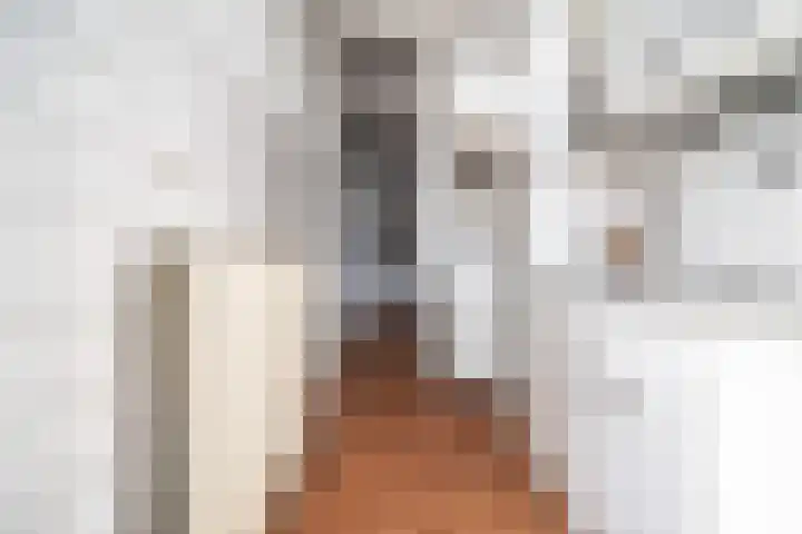 van Wassenaerstraat 21 Voorburg thumbnail 21