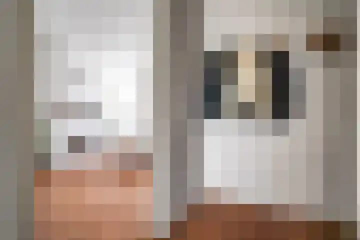 van Wassenaerstraat 21 Voorburg thumbnail 29