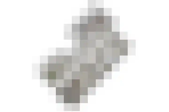 van Wassenaerstraat 21 Voorburg thumbnail 34