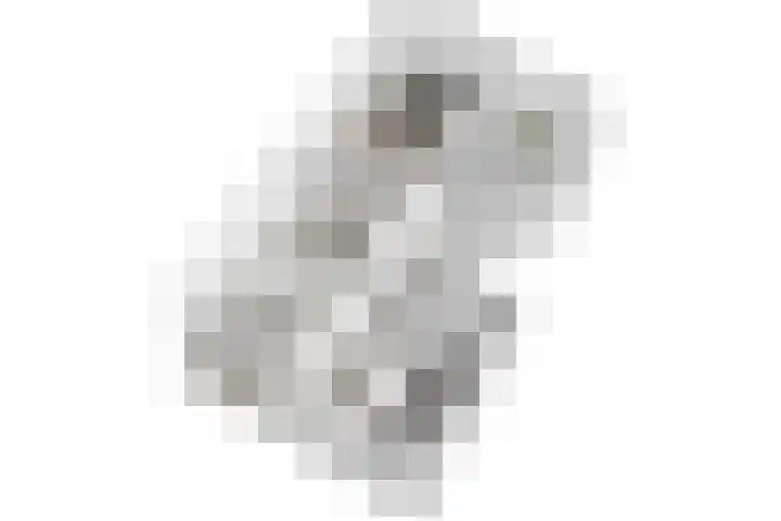 van Wassenaerstraat 21 Voorburg thumbnail 35