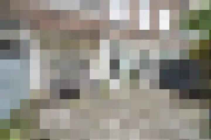 van Wassenaerstraat 23 Voorburg thumbnail 11