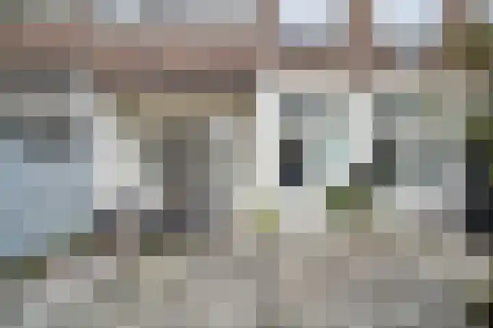 van Wassenaerstraat 23 Voorburg thumbnail 12