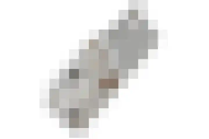 van Wassenaerstraat 23 Voorburg thumbnail 36