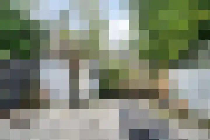 van Wassenaerstraat 23 Voorburg thumbnail 9