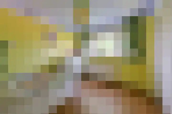 van Wassenaerstraat 24 Ter Aar thumbnail 15