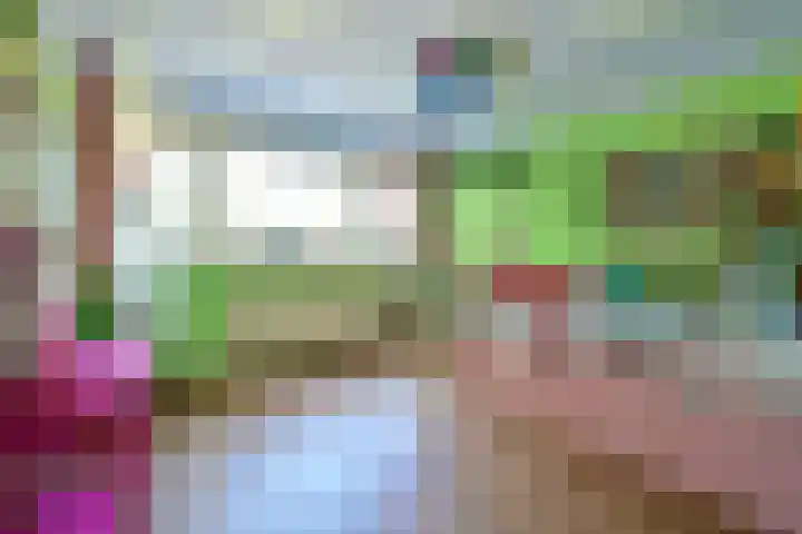 van Wassenaerstraat 24 Ter Aar thumbnail 16
