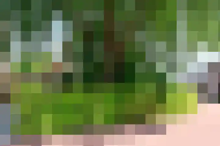 van Wassenaerstraat 24 Ter Aar thumbnail 22