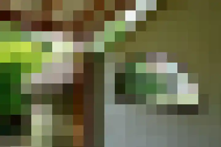 van Wassenaerstraat 24 Ter Aar thumbnail 24