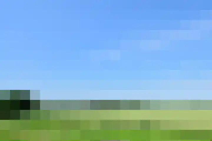 van Wassenaerstraat 24 Ter Aar thumbnail 27