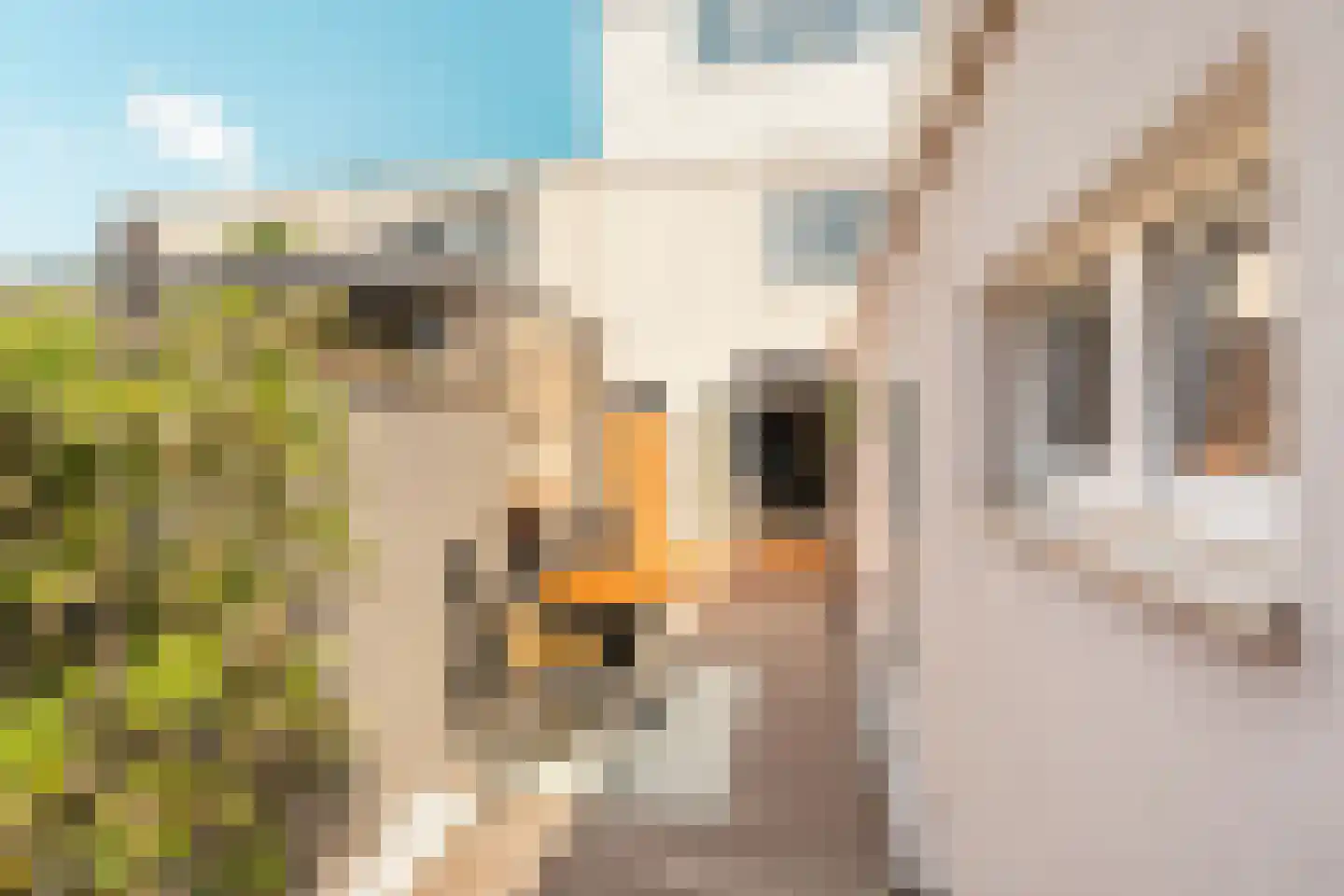 Van Wassenaerstraat 26 IJmuiden thumbnail 20