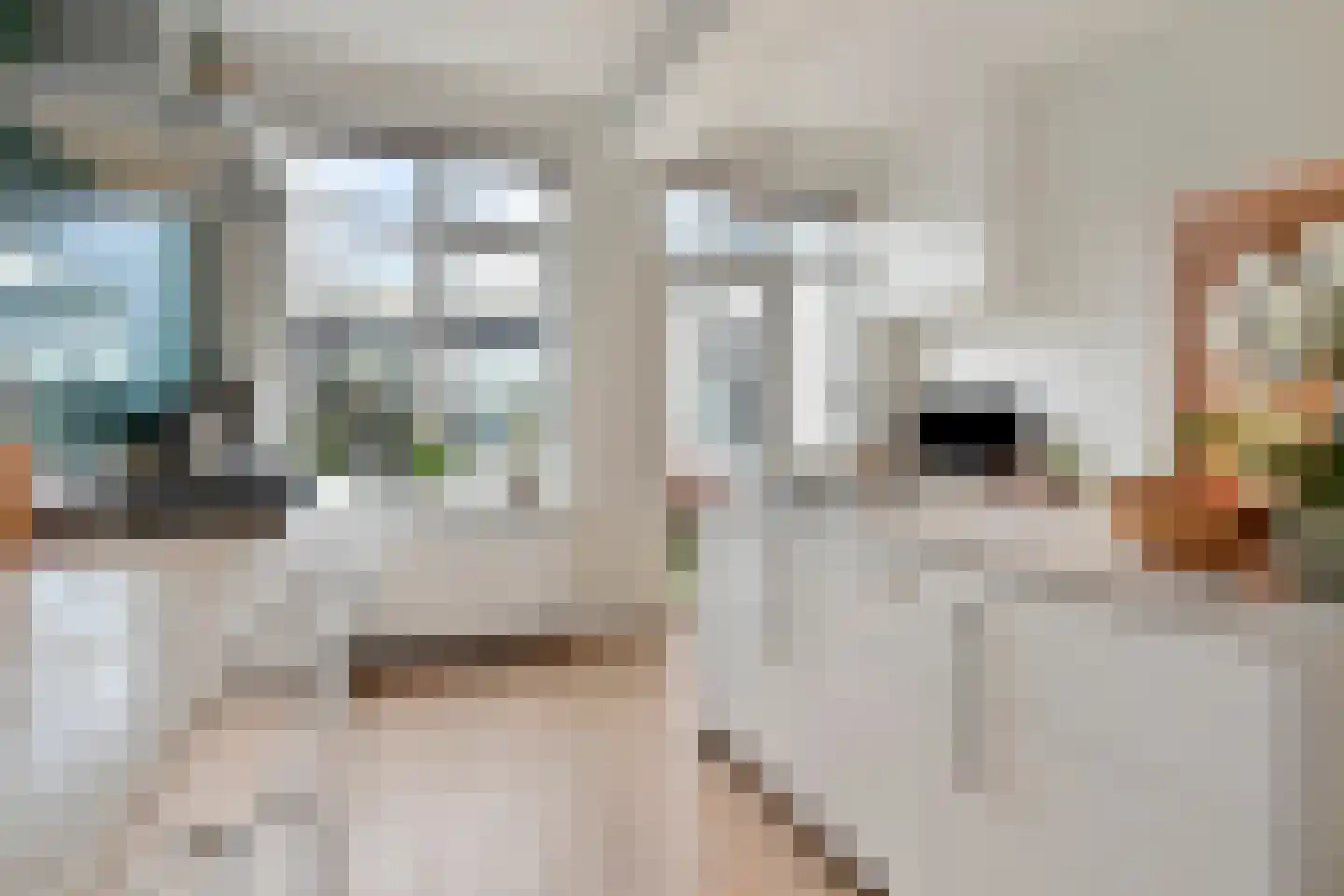 van Wassenaerstraat 26 Voorburg thumbnail 17