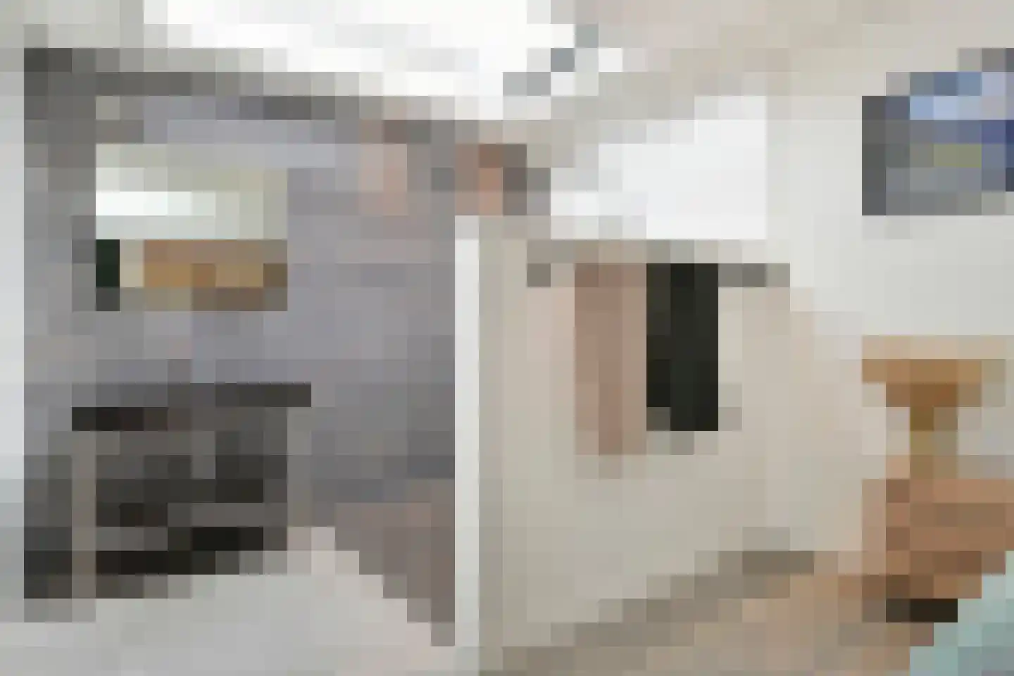 van Wassenaerstraat 26 Voorburg thumbnail 31