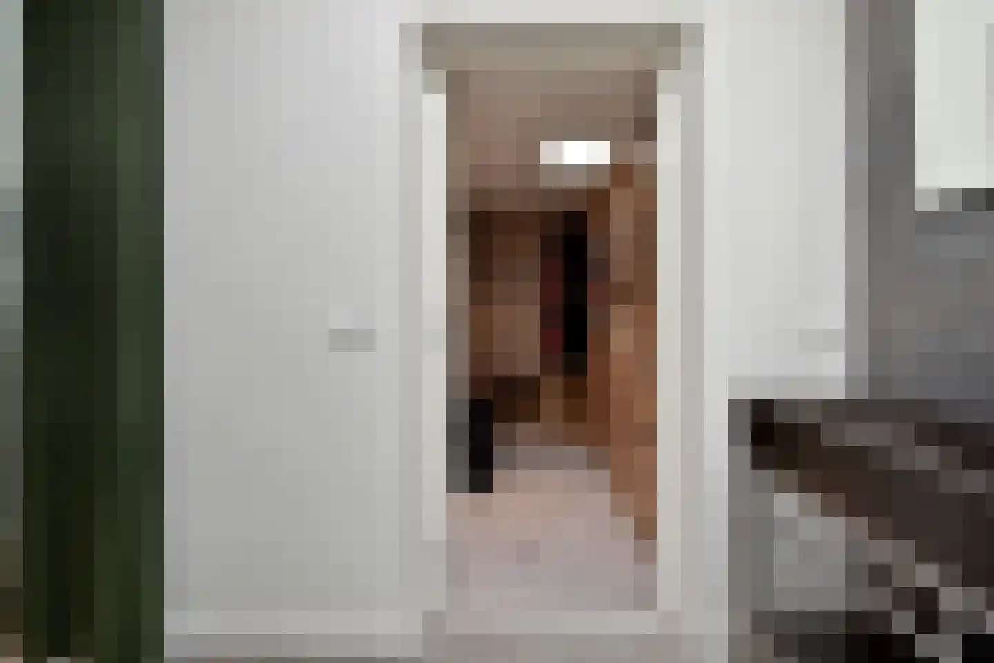 van Wassenaerstraat 26 Voorburg thumbnail 33