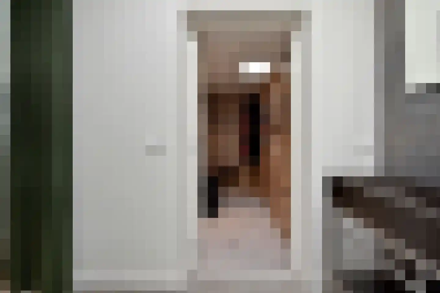 van Wassenaerstraat 26 Voorburg thumbnail 33