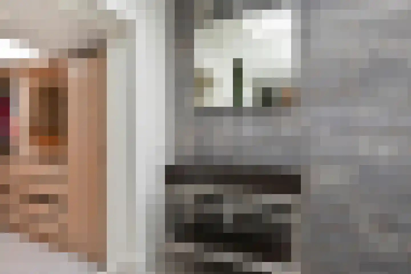 van Wassenaerstraat 26 Voorburg thumbnail 34