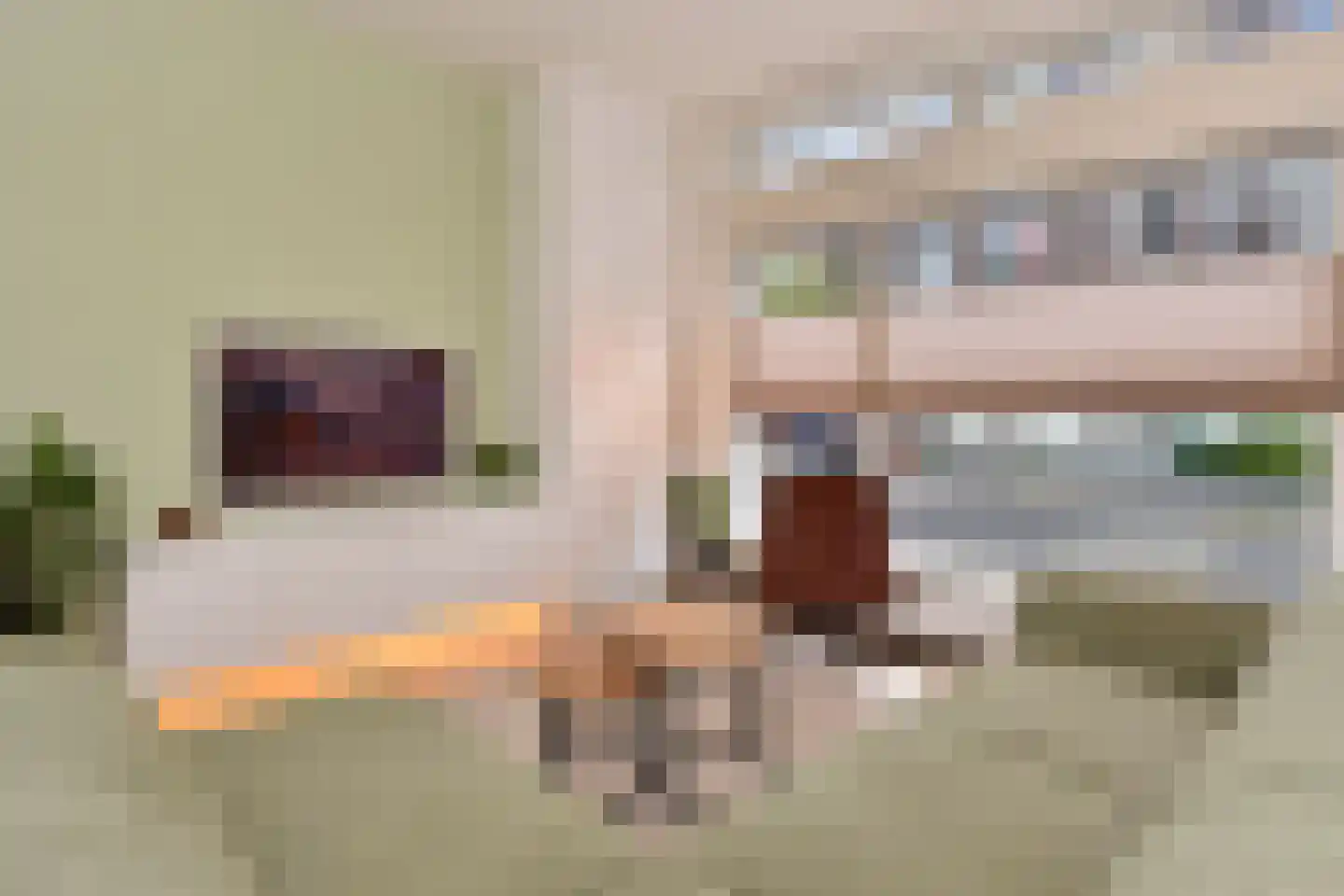 van Wassenaerstraat 26 Voorburg thumbnail 8