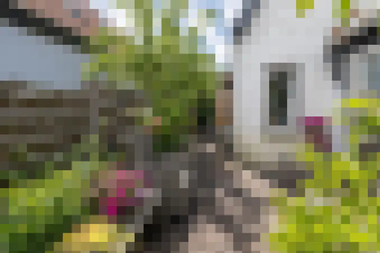 van Wassenaerstraat 27 Driebergen-Rijsenburg thumbnail 31