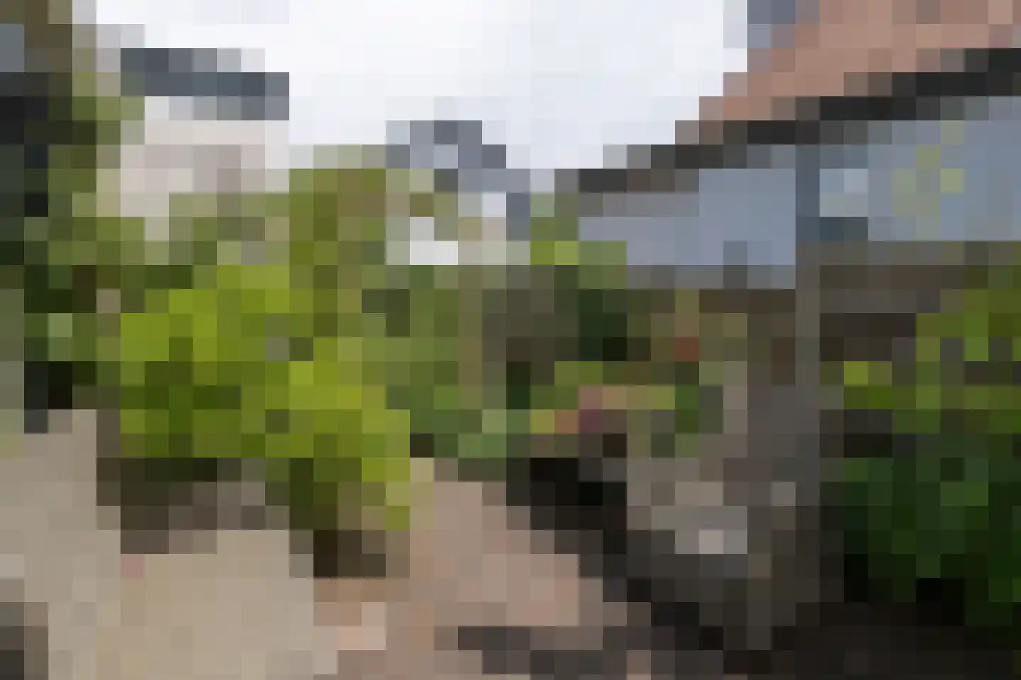 van Wassenaerstraat 27 Driebergen-Rijsenburg thumbnail 32