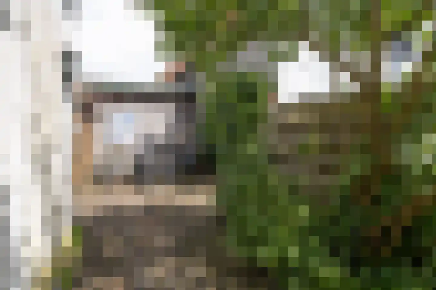 van Wassenaerstraat 27 Driebergen-Rijsenburg thumbnail 33