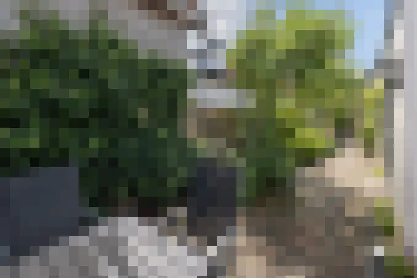 van Wassenaerstraat 27 Driebergen-Rijsenburg thumbnail 34