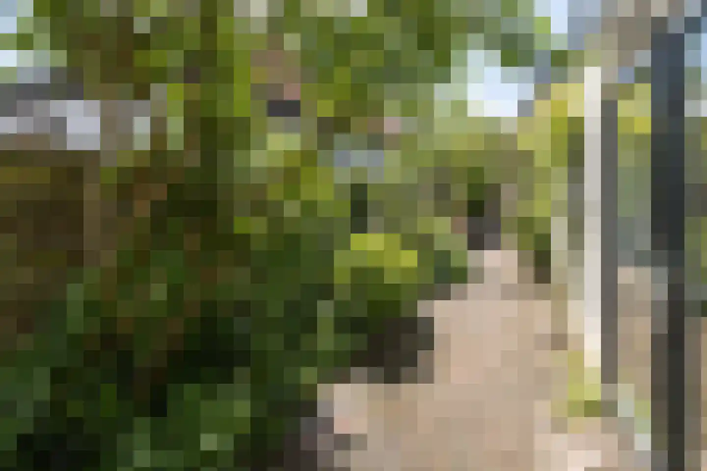 van Wassenaerstraat 27 Driebergen-Rijsenburg thumbnail 35