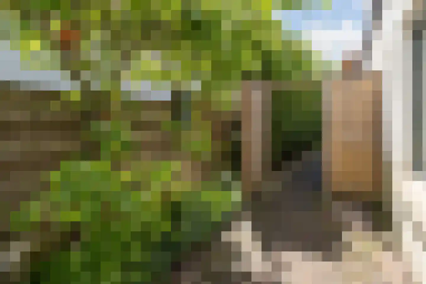 van Wassenaerstraat 27 Driebergen-Rijsenburg thumbnail 37